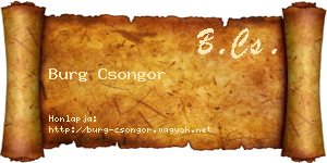 Burg Csongor névjegykártya